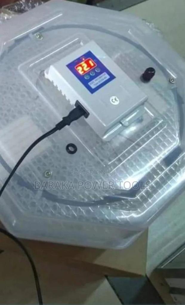Durable Egg Incubator