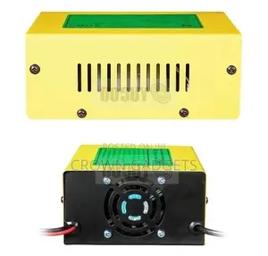 Smart Electric Car 200ah Dc 12v/24 10A Battery Charger