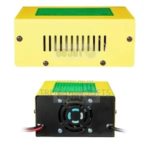 Smart Electric Car 200ah Dc 12v/24 10A Battery Charger