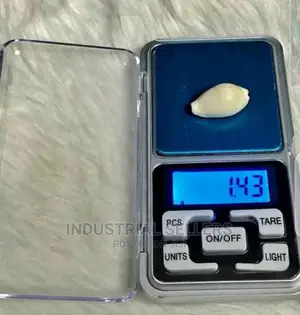 Digital Scale Pocket