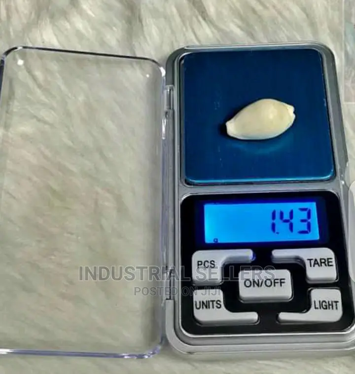 Digital Scale Pocket