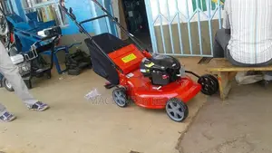 Brand New Briggs Lawn Mower