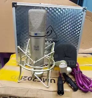 B2 Studio Condenser Microphone