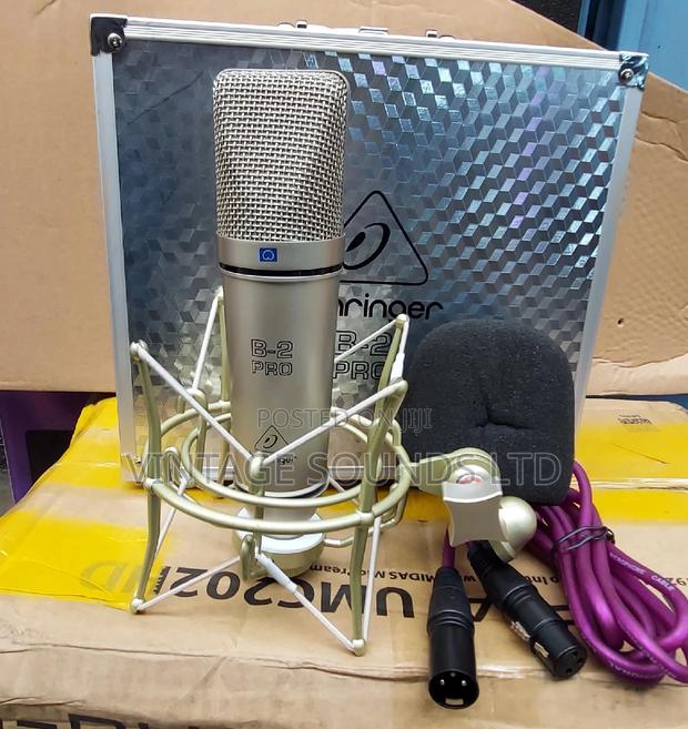 B2 Studio Condenser Microphone - thumbnail 2