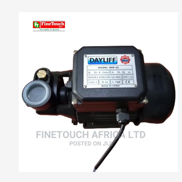 DAYLIFF Water Pump - main view