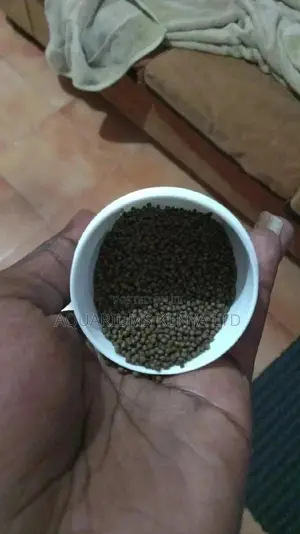 Local Fish Pellets, Fish Food