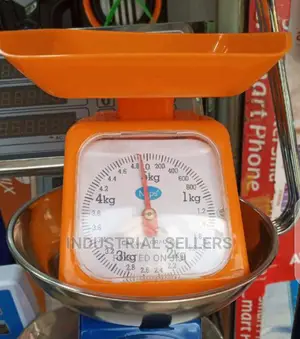 Detailed Plastic Scale