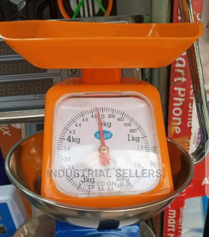 Detailed Plastic Scale