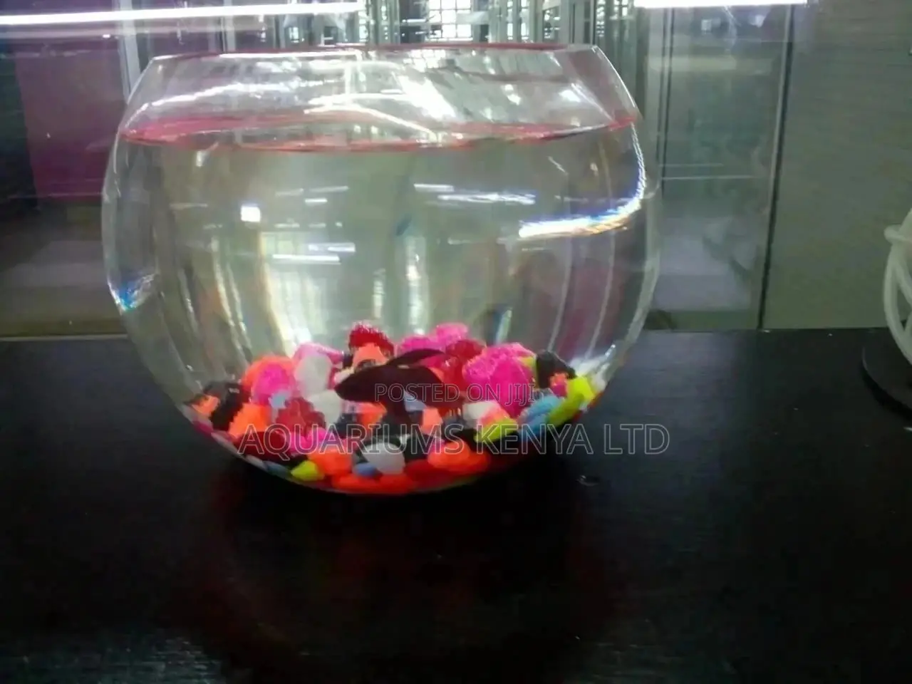 Fish Bowl, Aquarium Fish Bowl