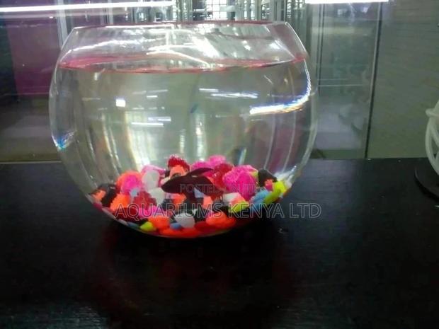 Fish Bowl, Aquarium Fish Bowl - main view
