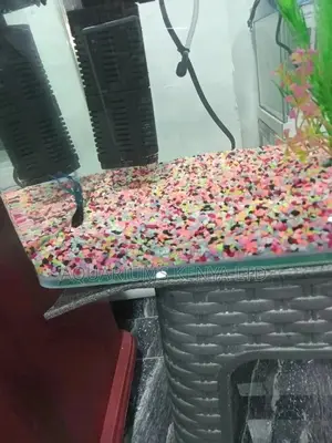 Aquarium Pebbles Colourful Just for Your Tank