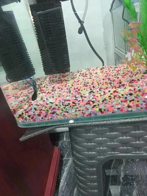 Aquarium Pebbles Colourful Just for Your Tank - main view