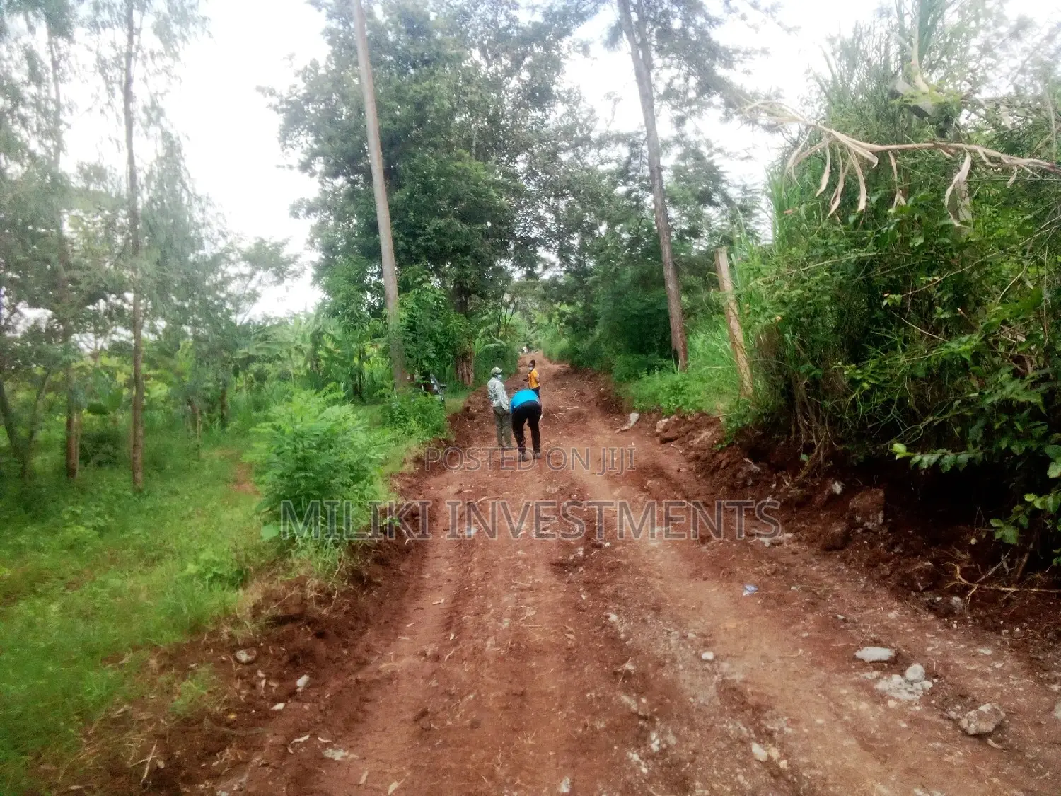 40 by 80 for Sale at Kenol