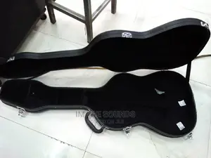 Guitar Case