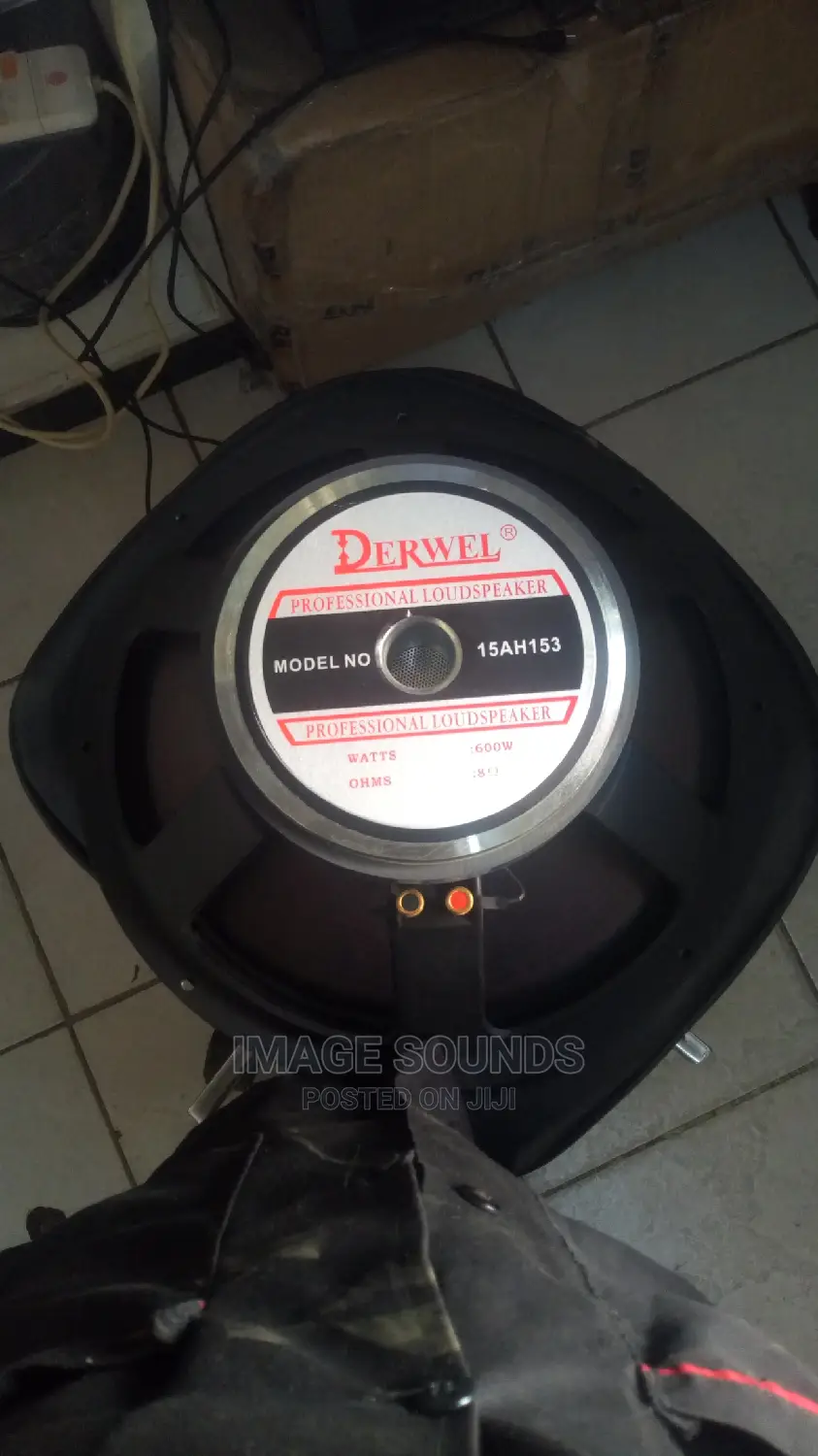 15" Naked Speaker