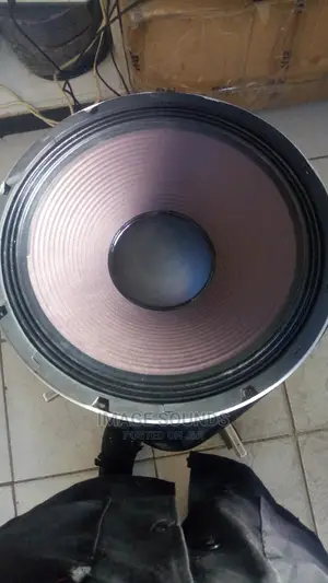15" Naked Speaker
