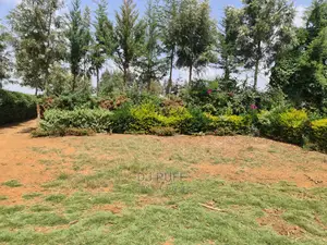 Lands and Plots for Sale in Nyahururu (Gwa Kung'u)
