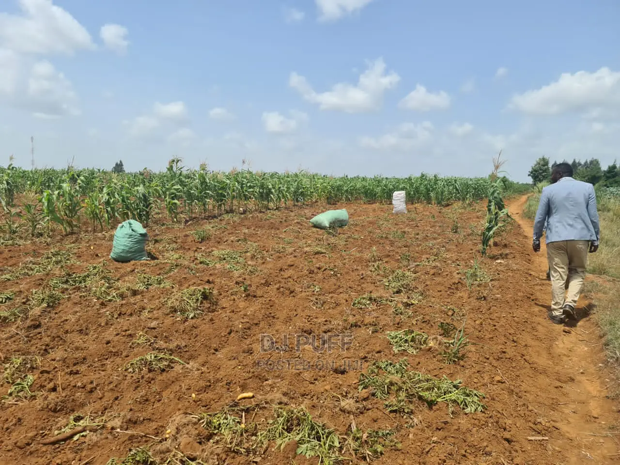 Lands and Plots for Sale in Nyahururu (Gwa Kung'u)