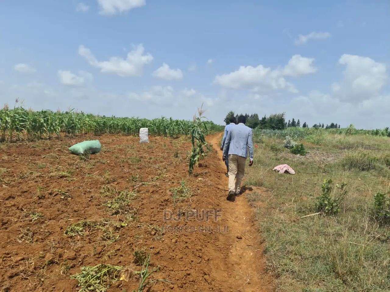 Lands and Plots for Sale in Nyahururu (Gwa Kung'u)