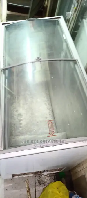 Displaying Freezer 400L