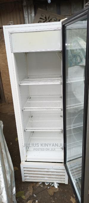 Display 300L Upright Fridge - main view