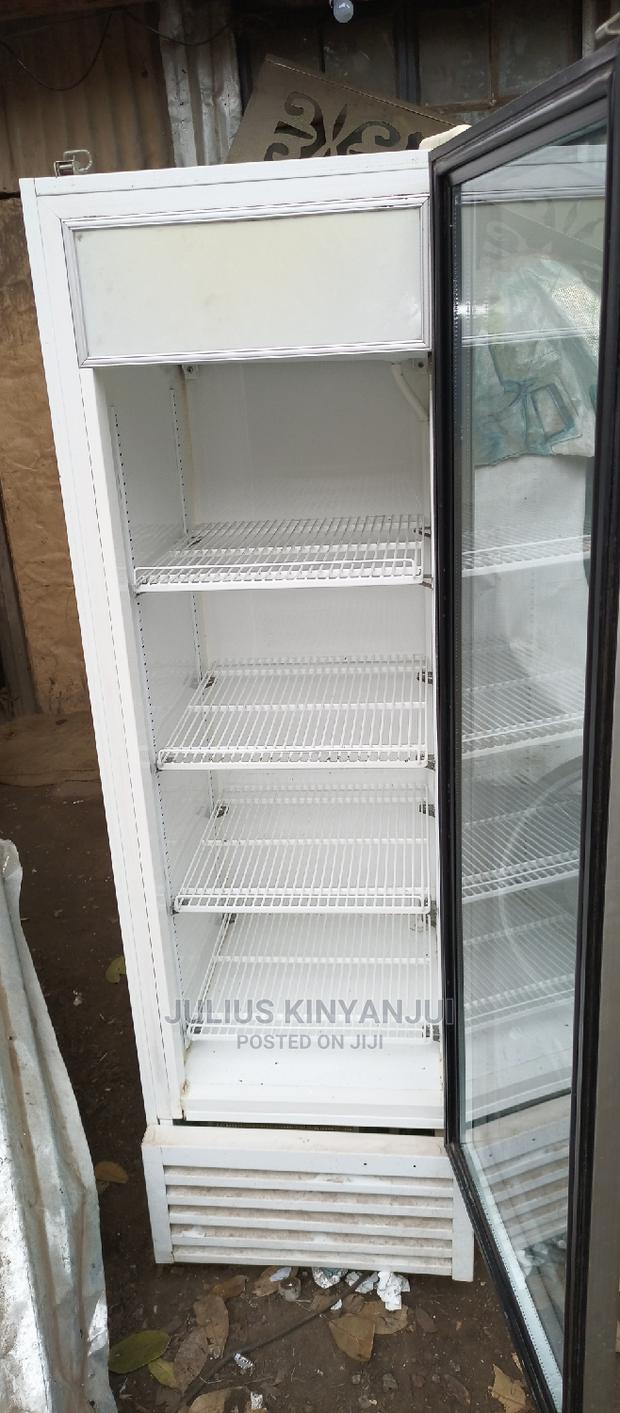 Display 300L Upright Fridge