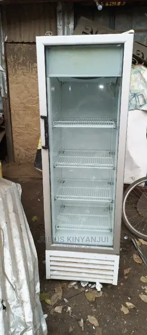 Display 300L Upright Fridge