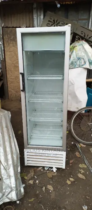 Display 300L Upright Fridge