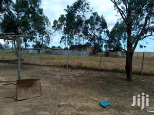 Selling 106 Acres in Naromoru