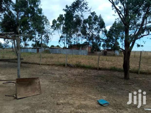 Selling 106 Acres in Naromoru - main view