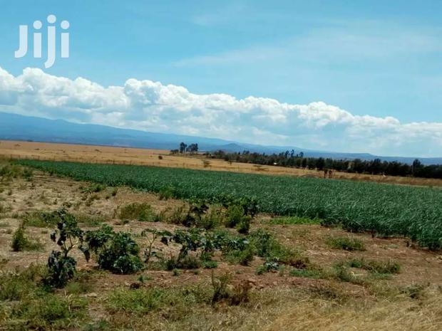 Selling 106 Acres in Naromoru - thumbnail 3