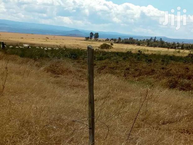 Selling 106 Acres in Naromoru - thumbnail 4