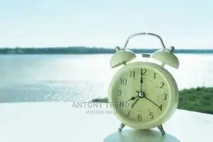 Analog Steel- Twin Bell Alarm Clock