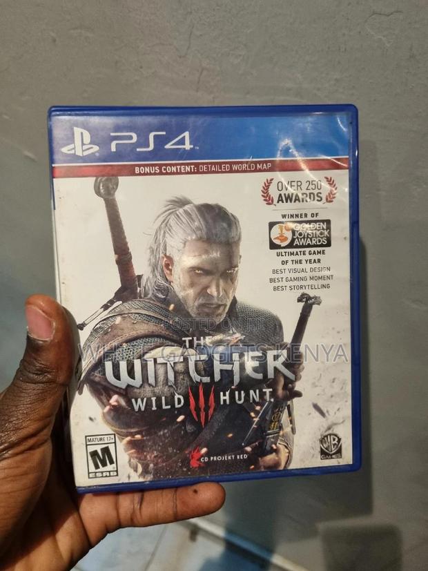 The Witcher Wild Hunt - main view