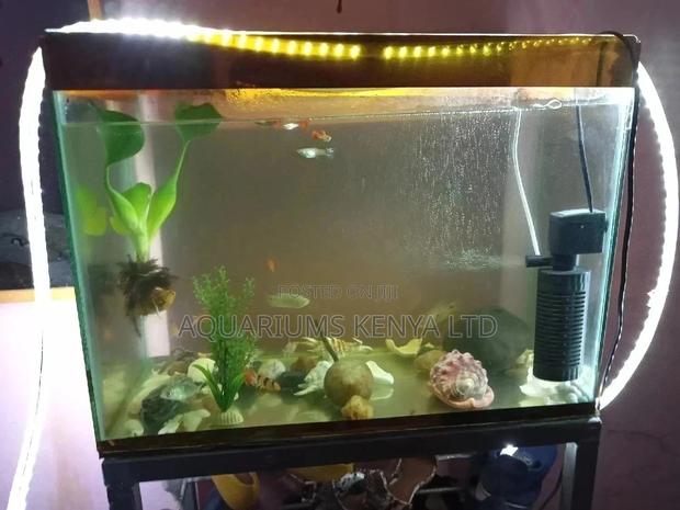 Fish Aquarium and All Aquarium Accessories - main view
