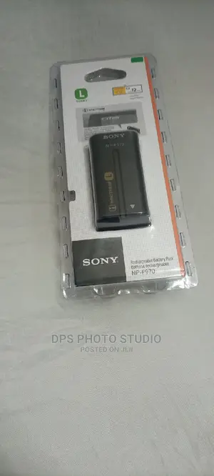 Sony L Series 970 Battery