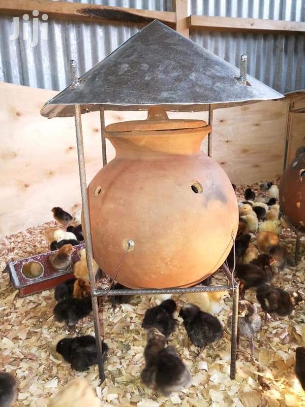 Brooder Warmers- Jiko