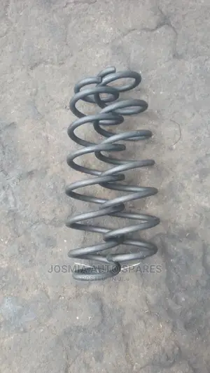 Passo Heavy Duty Coil Springs