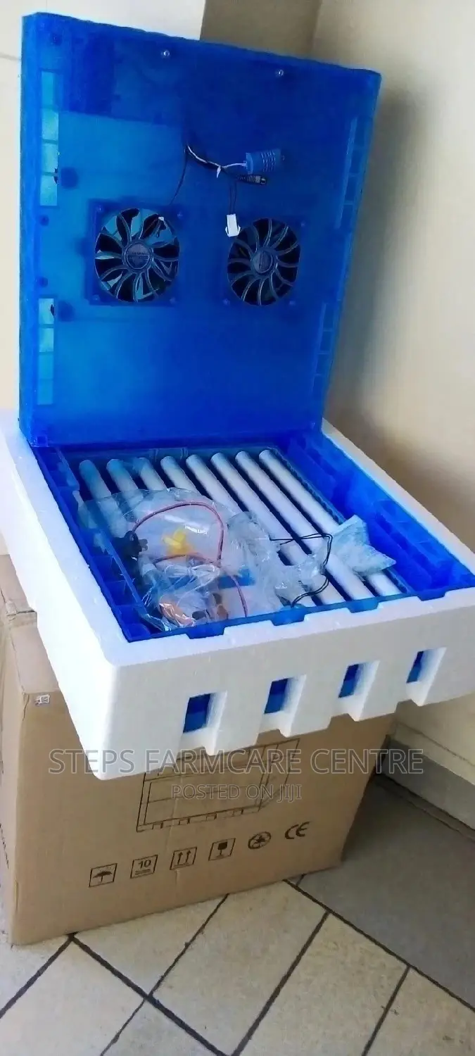 64 Eggs Automatic Incubator
