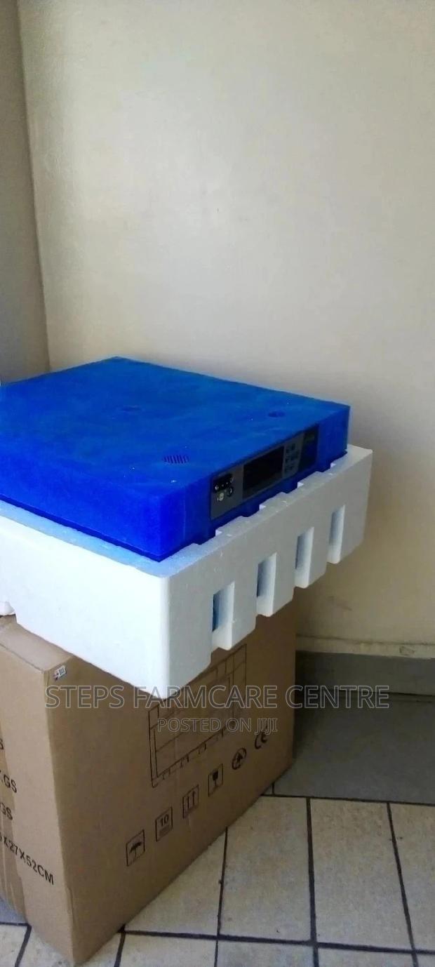 64 Eggs Automatic Incubator - thumbnail 3