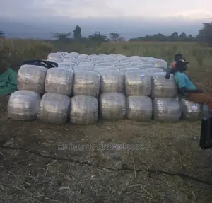 Baled Silage