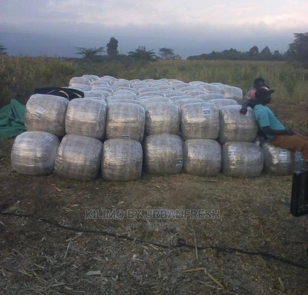 Baled Silage - thumbnail 2