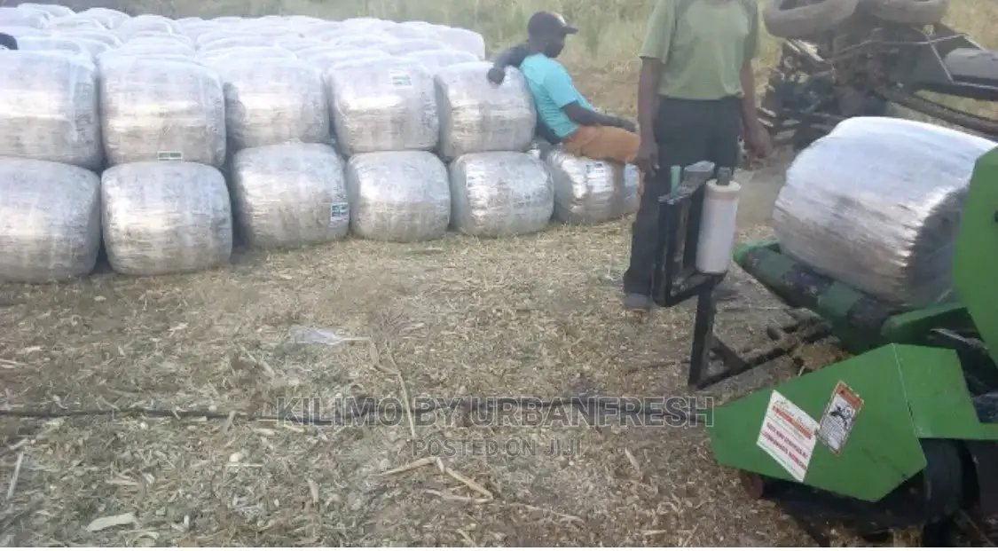 Baled Silage
