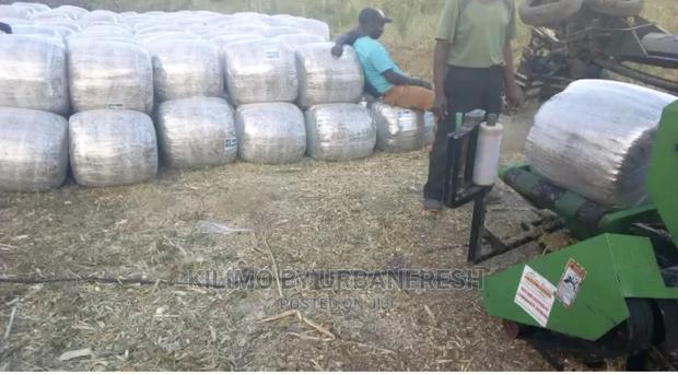 Baled Silage - thumbnail 3