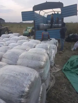 Baled Silage