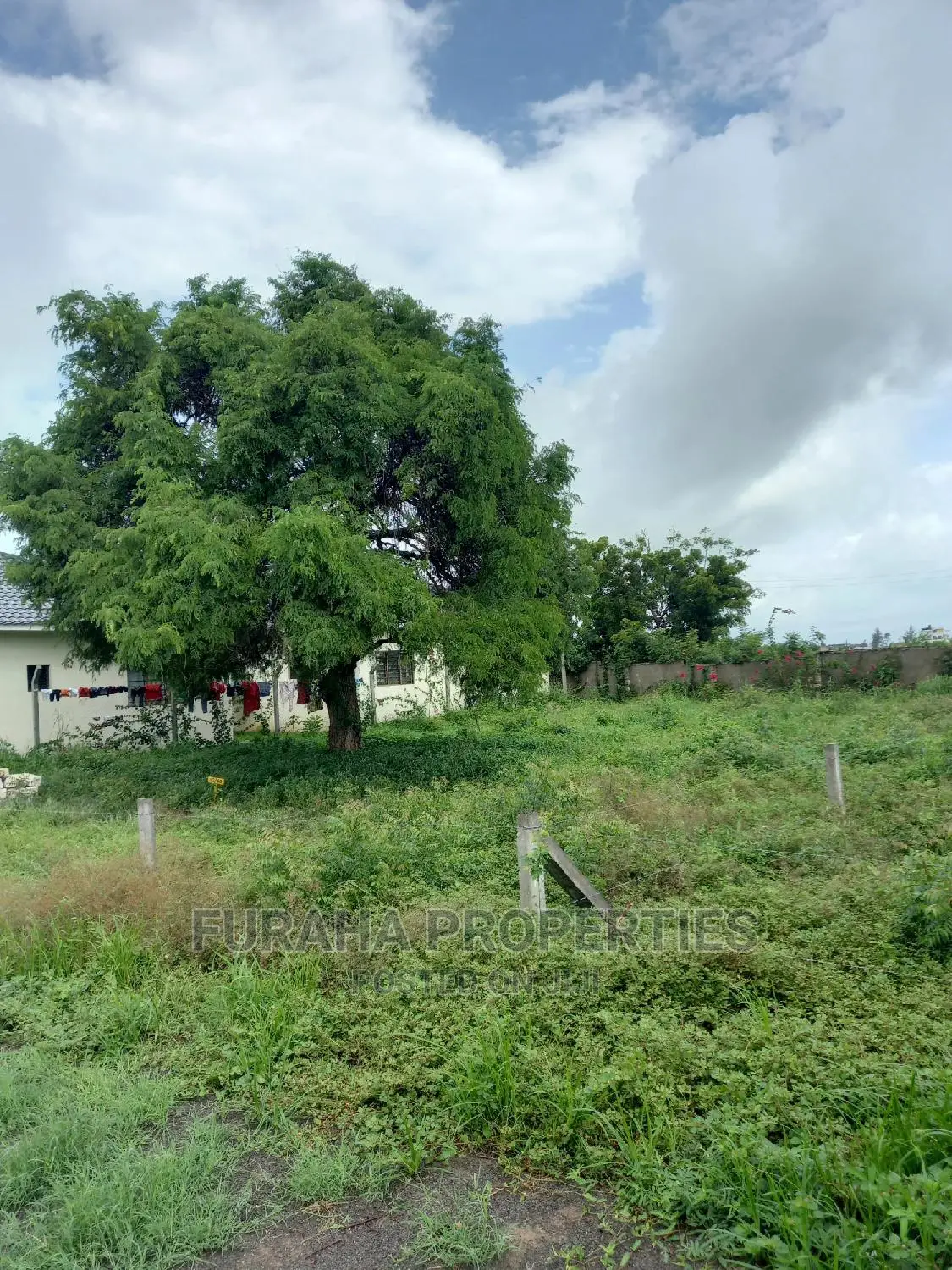 For Sale 50 by 100 Plots Malindi.