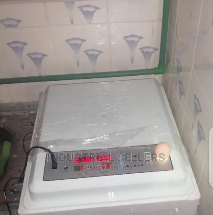 A New Automatic 56 Eggs Incubator Machine