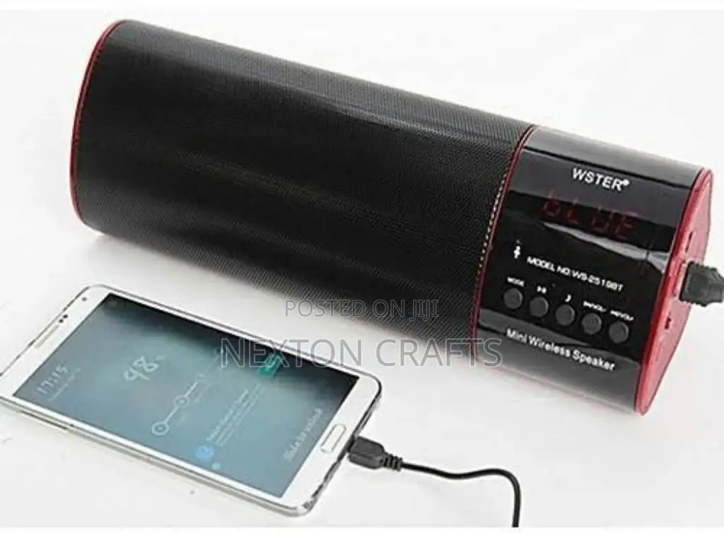 Two Double Woffer Mini Speaker With Fm Radio Speakers