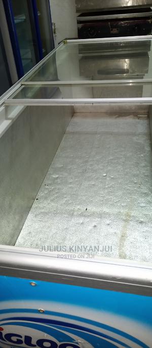 900L Deep Freezer - main view