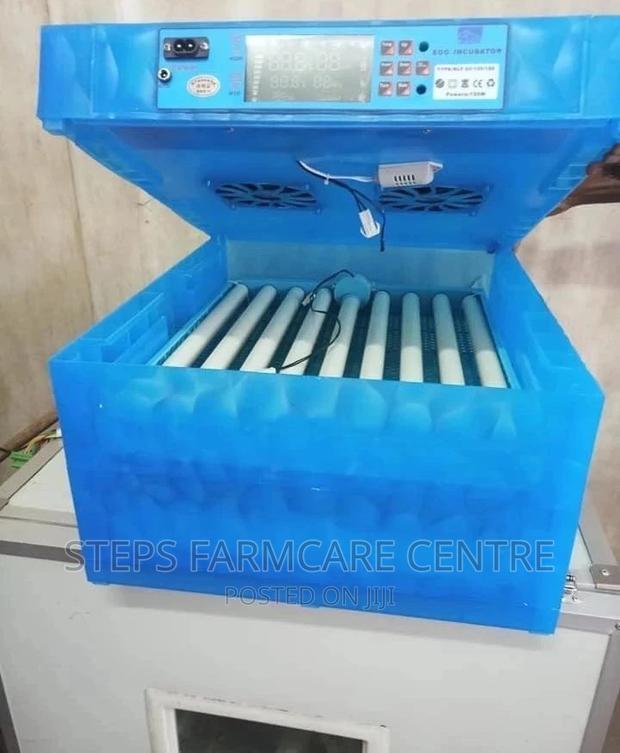 Automatic Incubator for 128 Eggs ,Both AC and DC Inputs